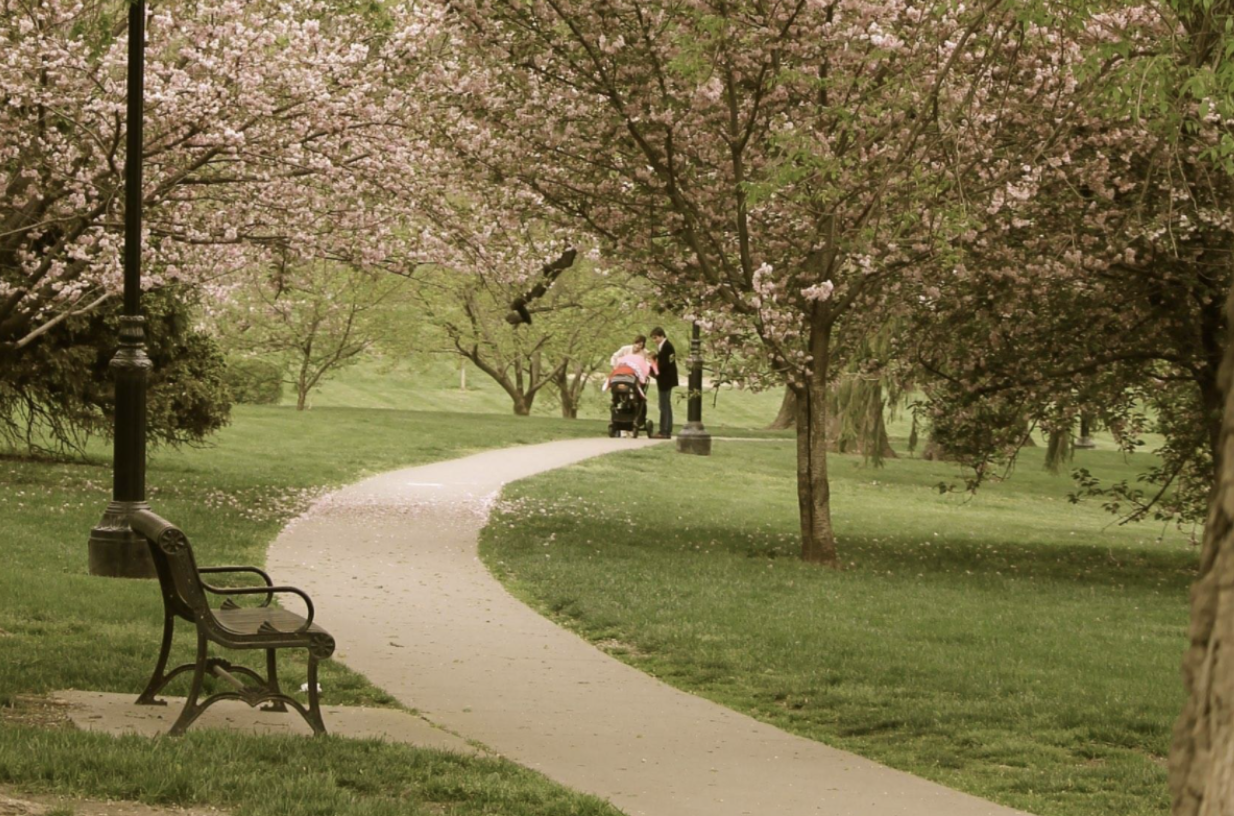 The Best Picnic Spots in Kansas City