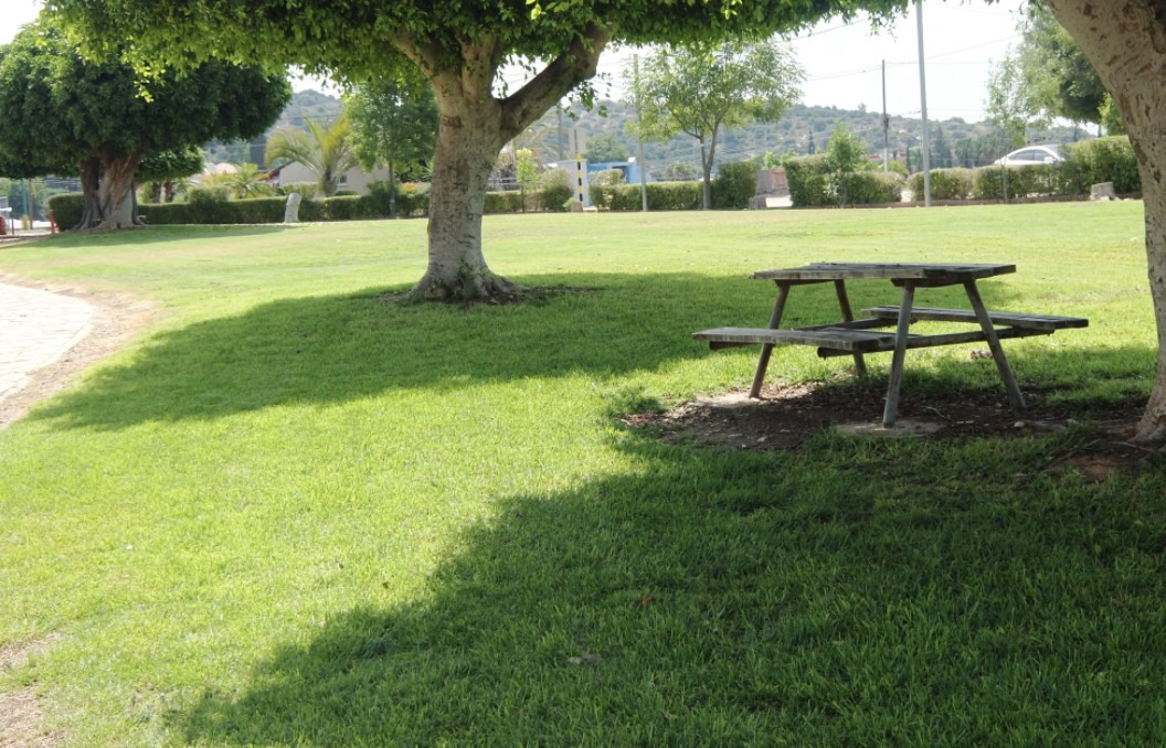 The Best Picnic Spots in Kansas City