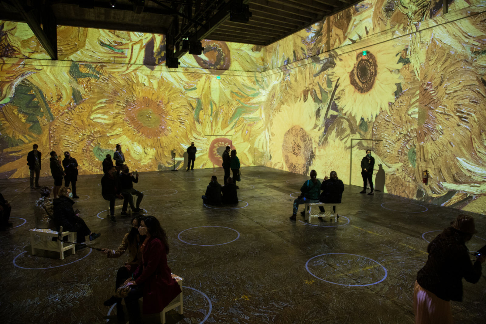 Immersive Van Gogh in San Francisco at SVN West