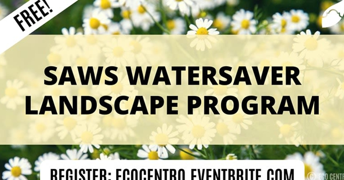 SAWS WaterSaver Landscape Program in Virtual Event at Virtual