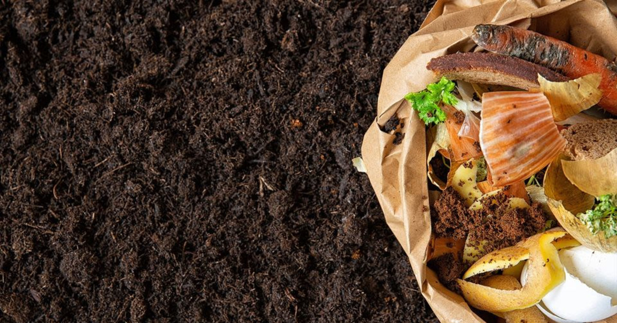 Composting and Soil Health 101 in San Antonio at San Antonio