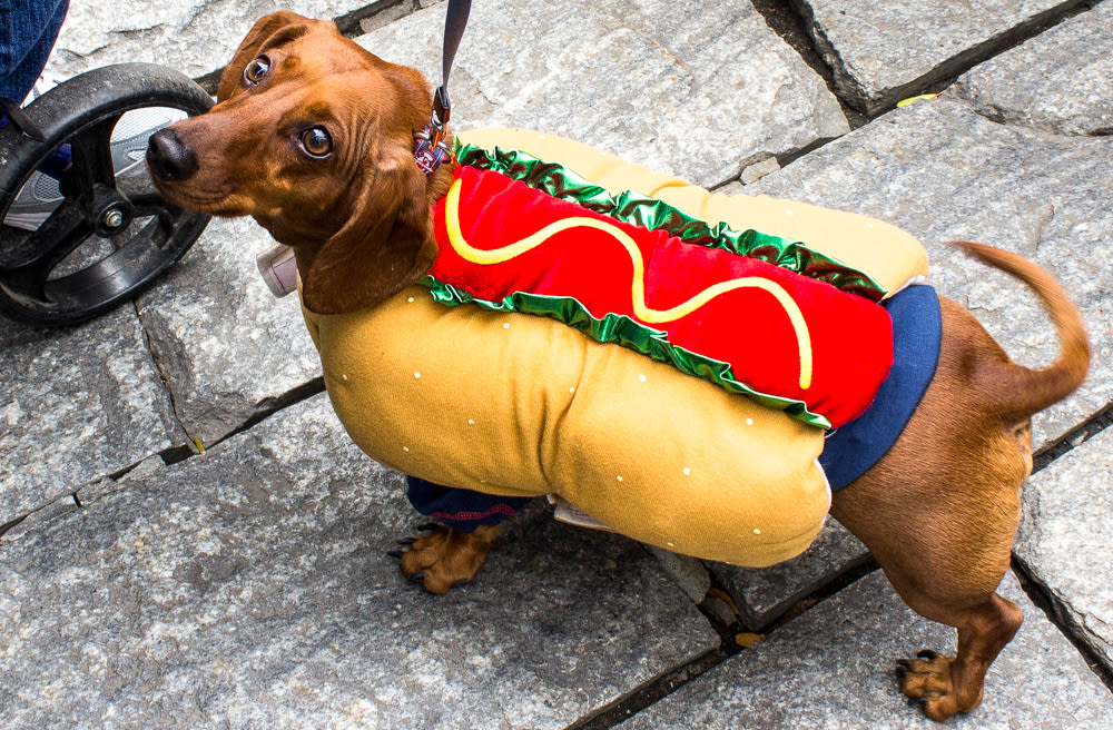 Best Hot Dogs In Nashville