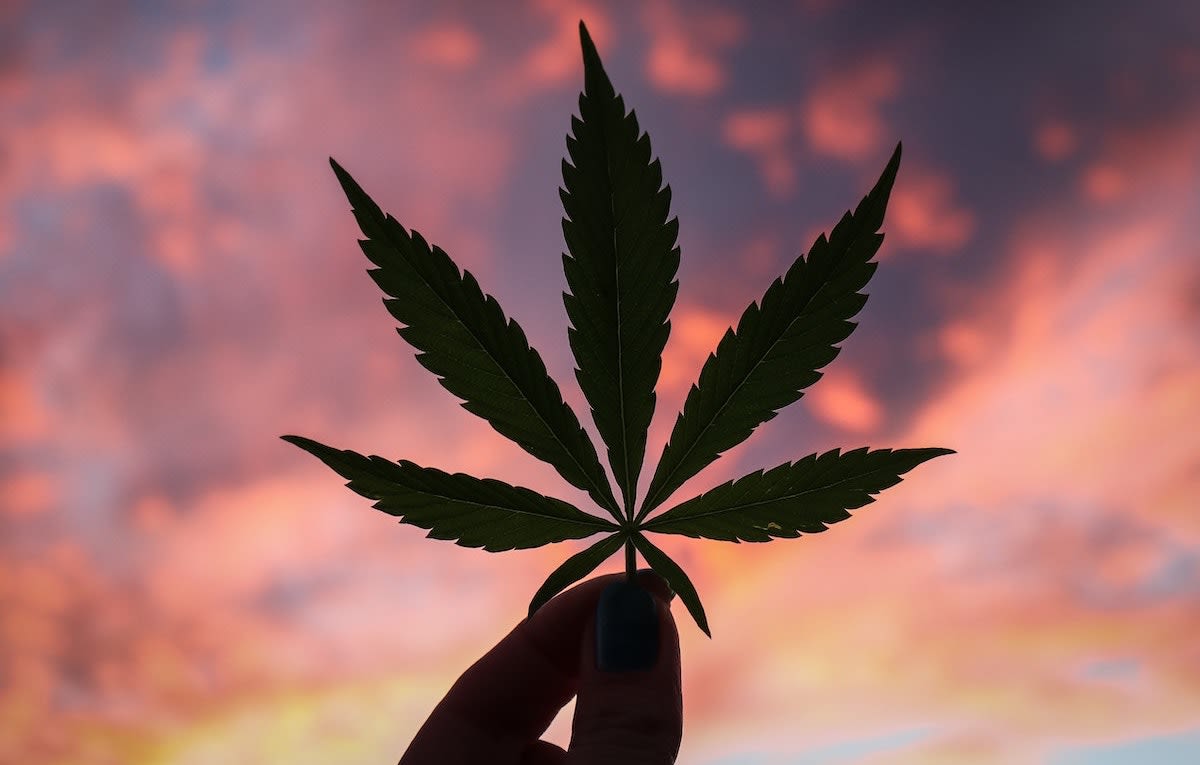 Illinois Legalization 2022 420 Holiday