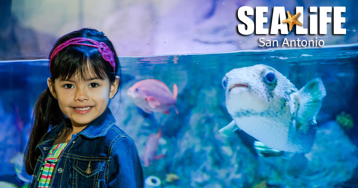 SEA LIFE San Antonio Grand Opening in San Antonio at SEA LIFE San