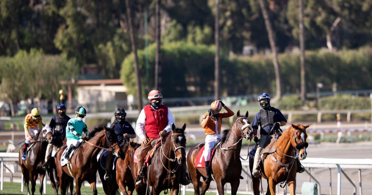 live-racing-in-arcadia-at-santa-anita-park