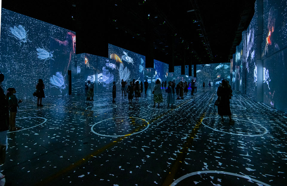Immersive Van Gogh Exhibit Nashville in Nashville at Lighthouse