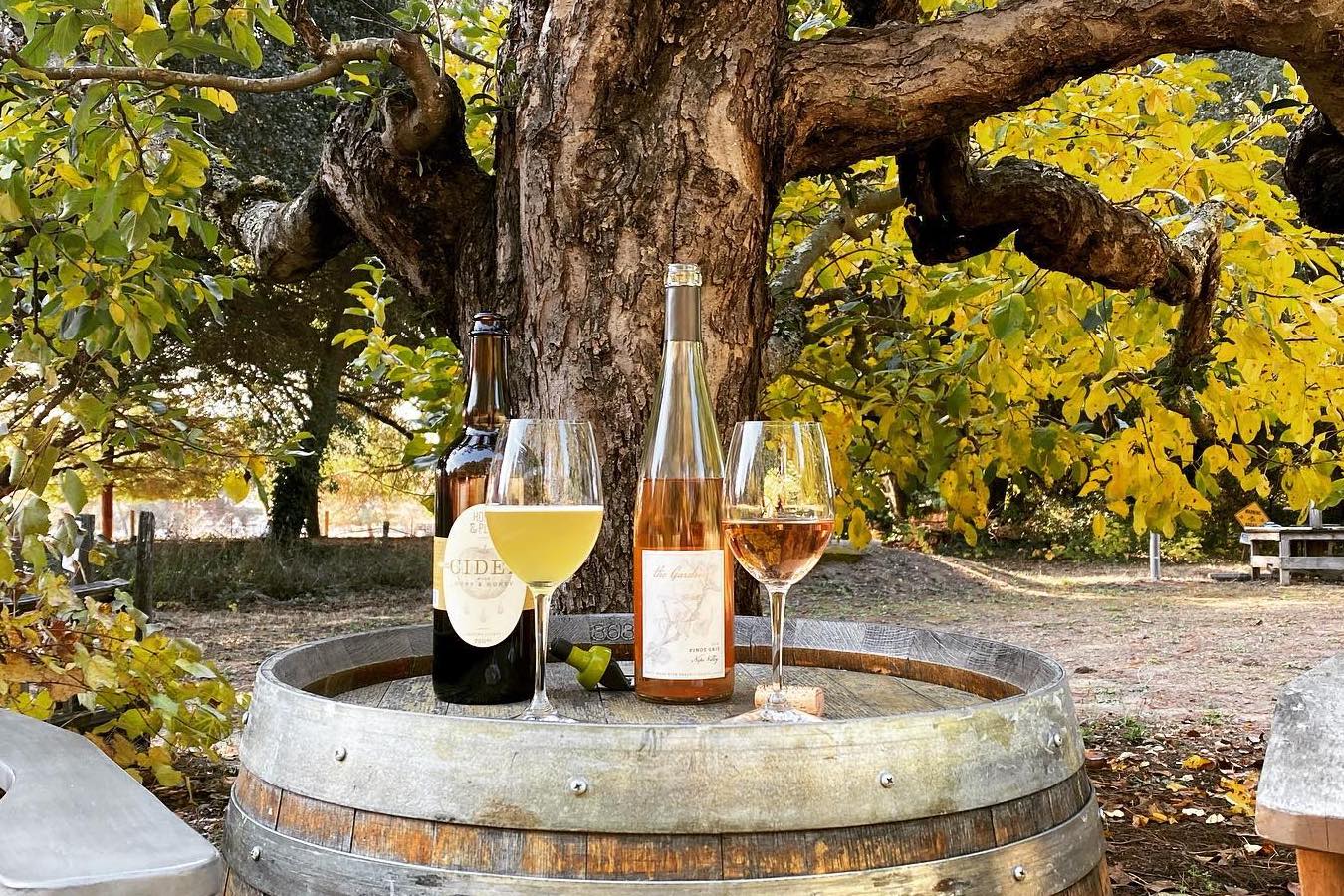 The Best Cideries in the Bay