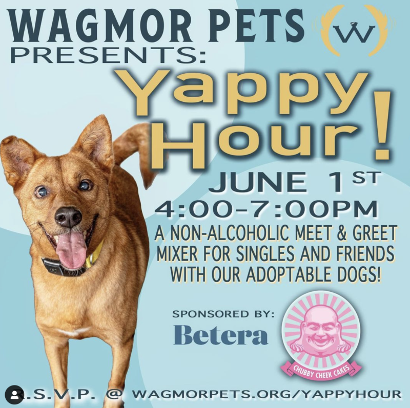 How Much Are Tickets For Dogs