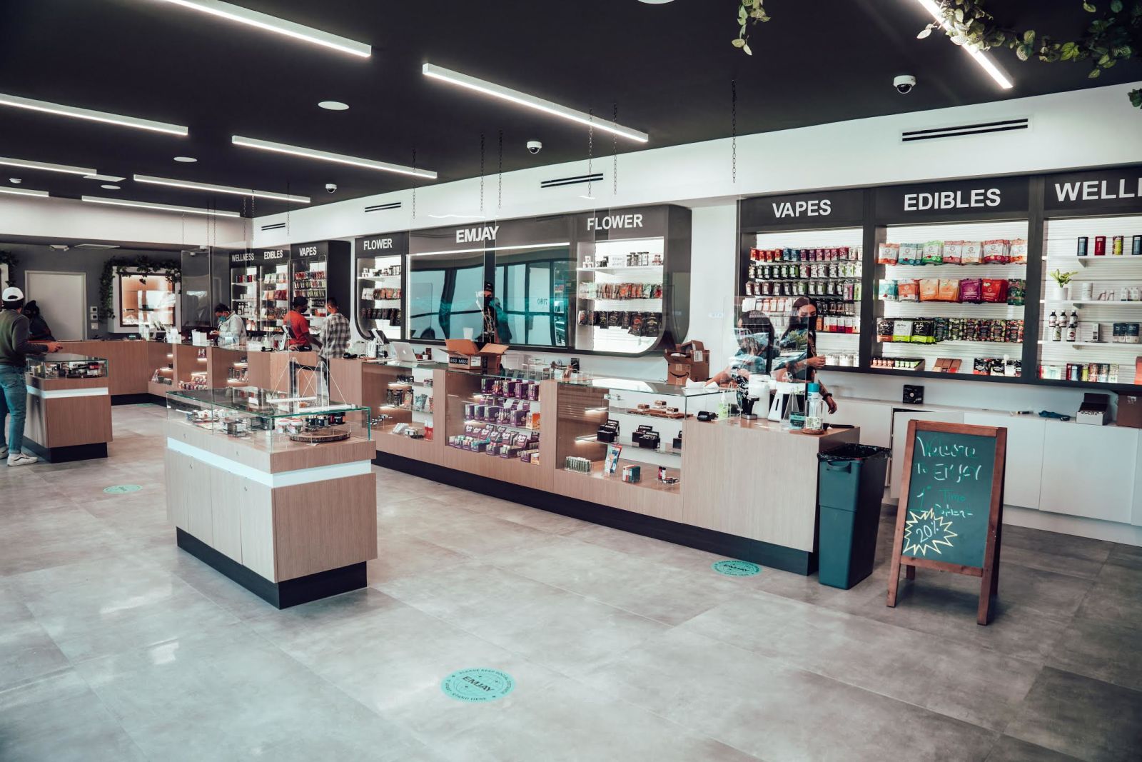 SD's Best Dispensaries