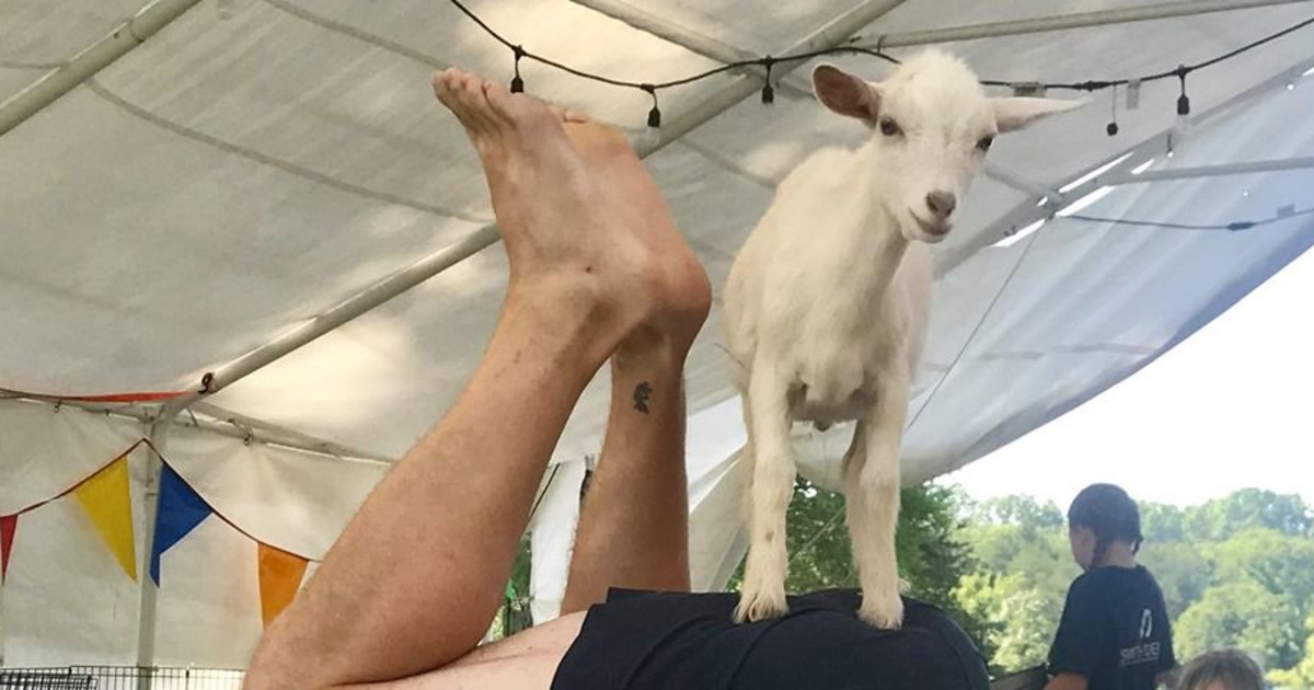 7 Things To Do With Your Family On Memorial Day Williamson Source