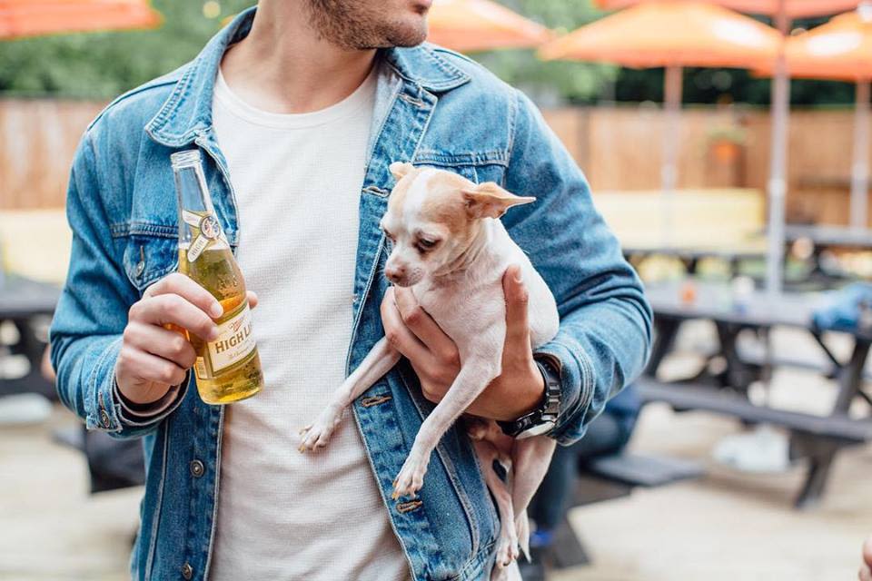 dog-friendly-patios-in-chicago