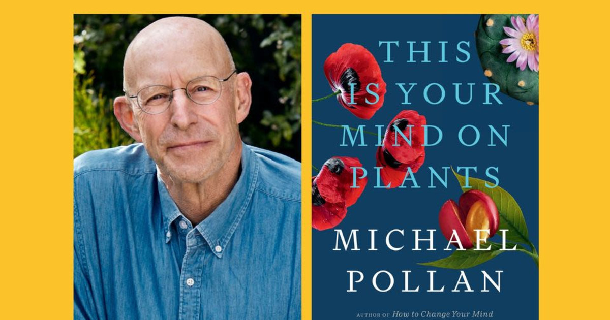 Cityspace essay picture