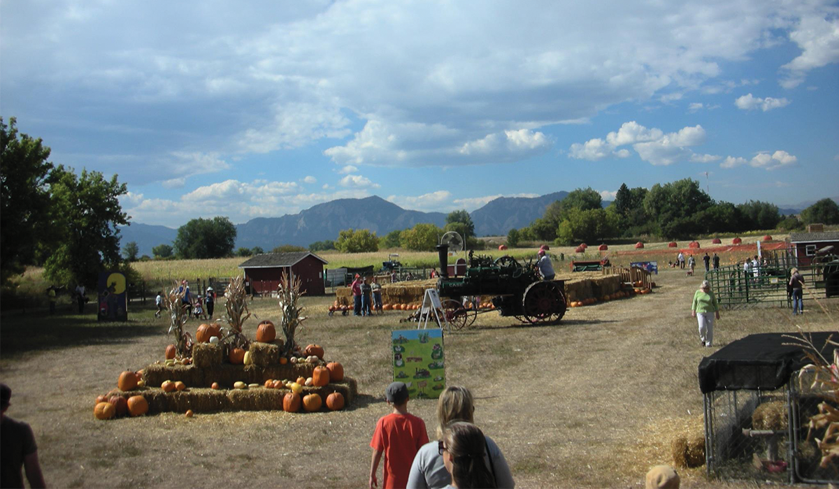 Where To Go Pumpkin & Apple Picking Near Denver