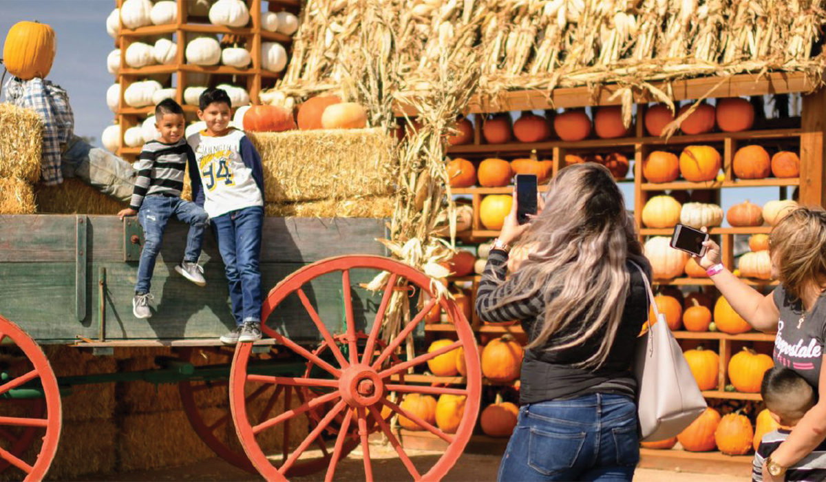 Where To Go Pumpkin & Apple Picking Near Denver