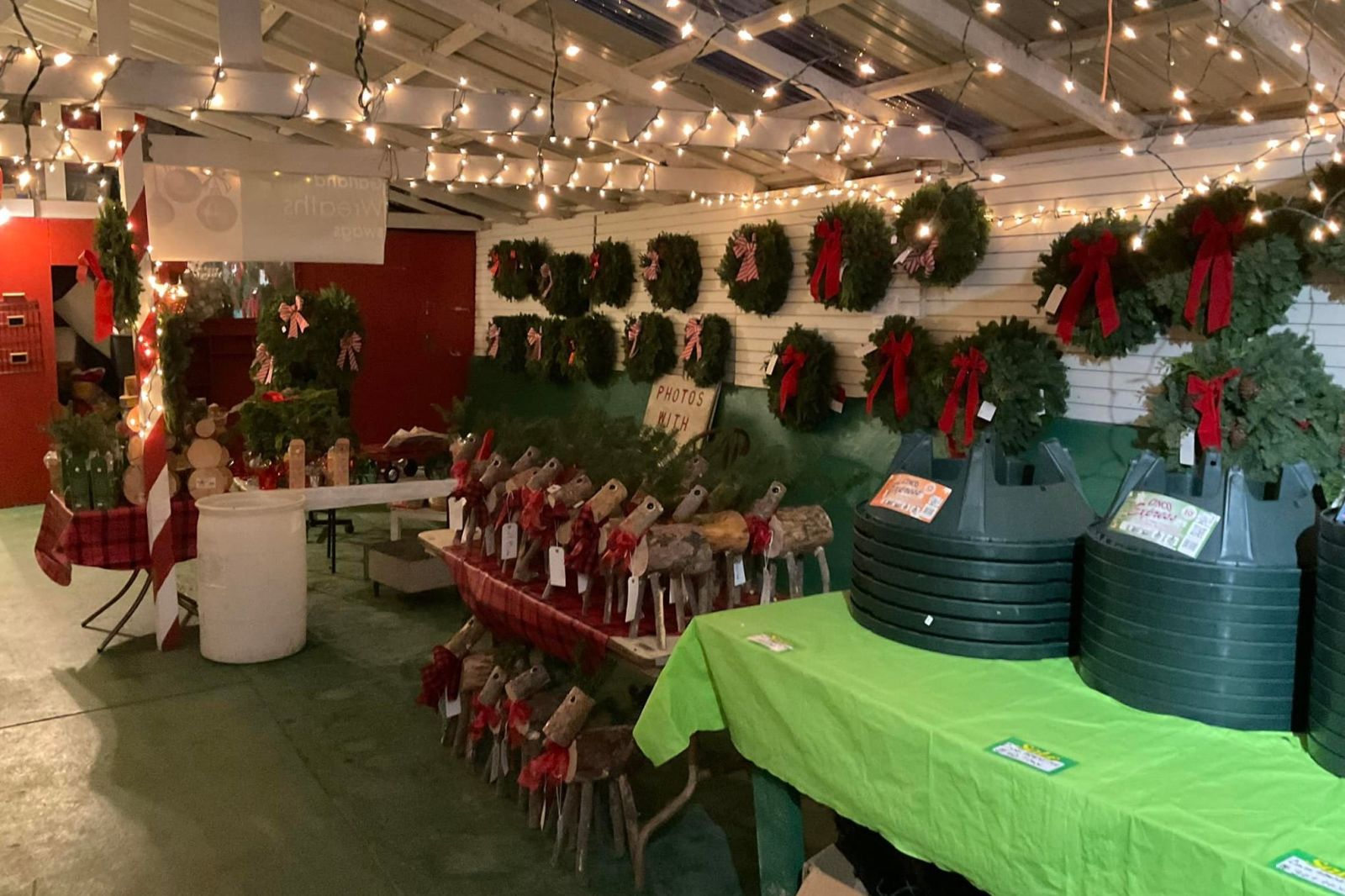 Where to Get Your Christmas Tree in the Bay