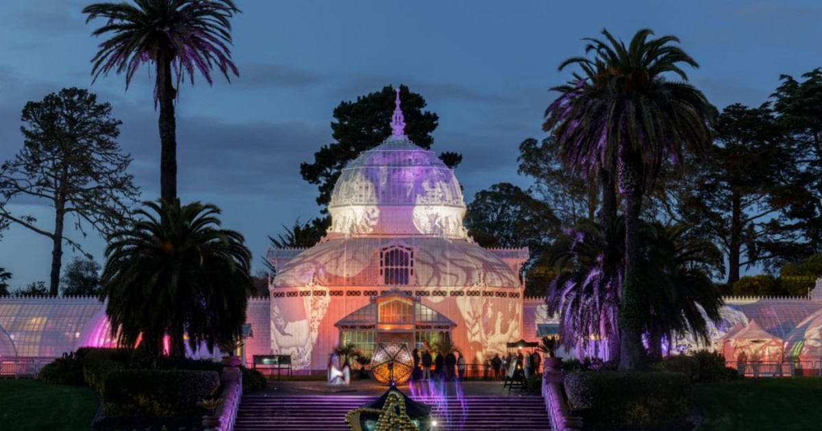 Winter Lights in Golden Gate Park in San Francisco at Golden Gate