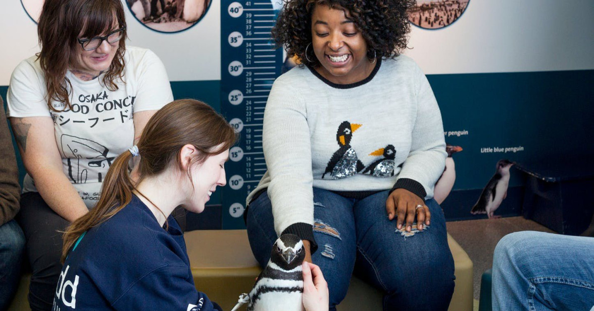 Penguin Encounter in Chicago at Shedd Aquarium