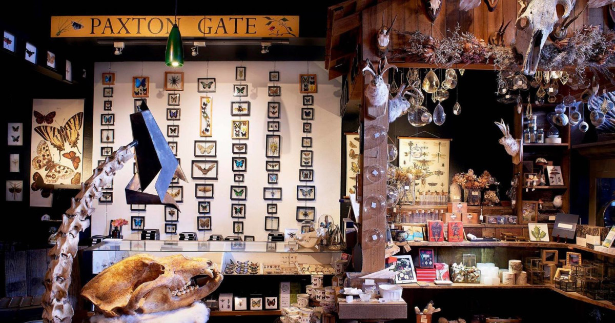 Locals Only The Bay Area Gift Guide