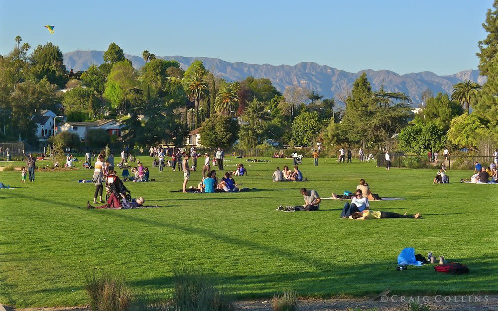Best Picnic Spots in LA